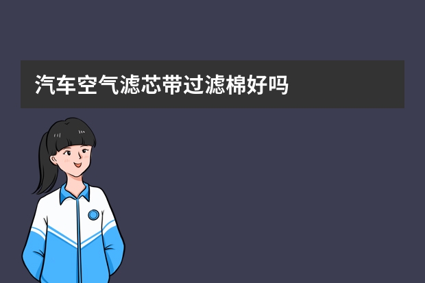 汽车空气滤芯带过滤棉好吗