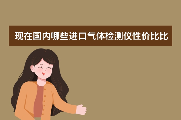 现在国内哪些进口气体检测仪性价比比较好？