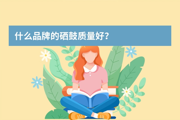 什么品牌的硒鼓质量好？