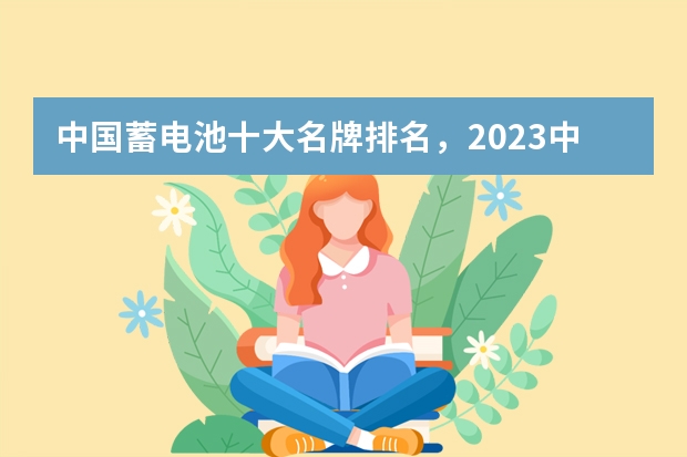 中国蓄电池十大名牌排名，2023中国十大汽车电瓶品牌（新能源汽车电池排名前十名）