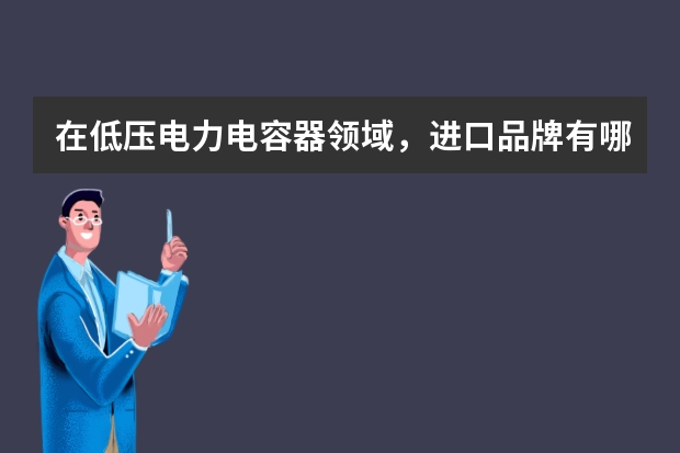 在低压电力电容器领域，进口品牌有哪些？