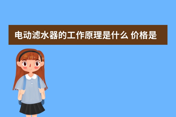 电动滤水器的工作原理是什么 价格是多少