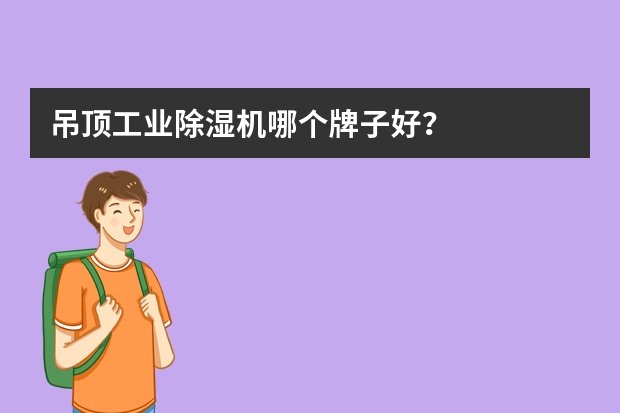 吊顶工业除湿机哪个牌子好？