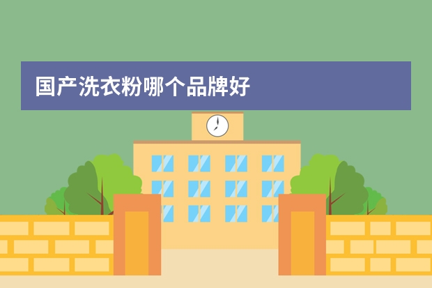 国产洗衣粉哪个品牌好