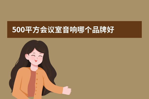 500平方会议室音响哪个品牌好