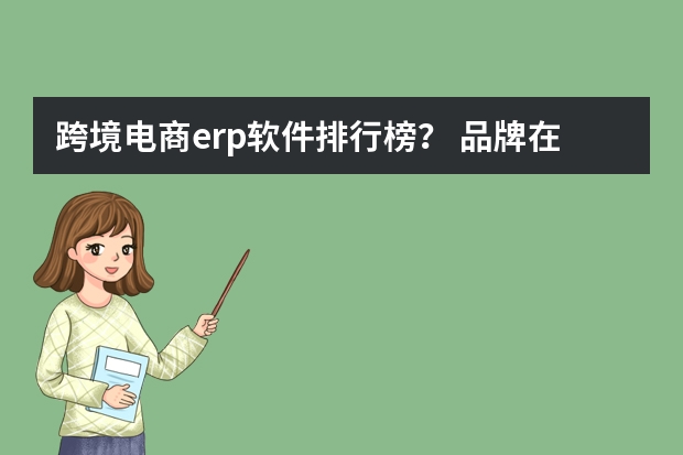 跨境电商erp软件排行榜？ 品牌在财务报表中归类为?