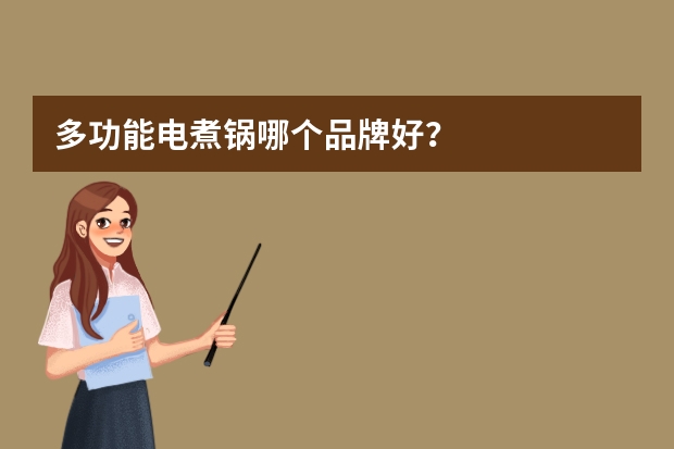 多功能电煮锅哪个品牌好？