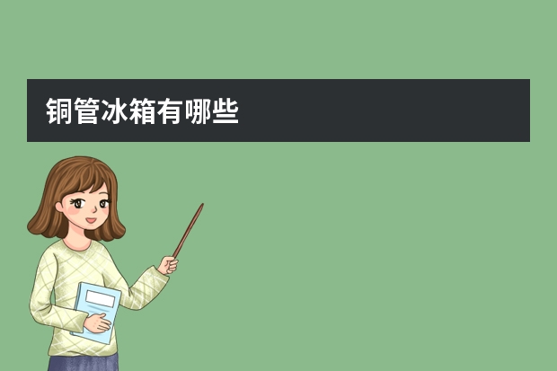 铜管冰箱有哪些